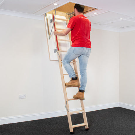 Loft Ladders