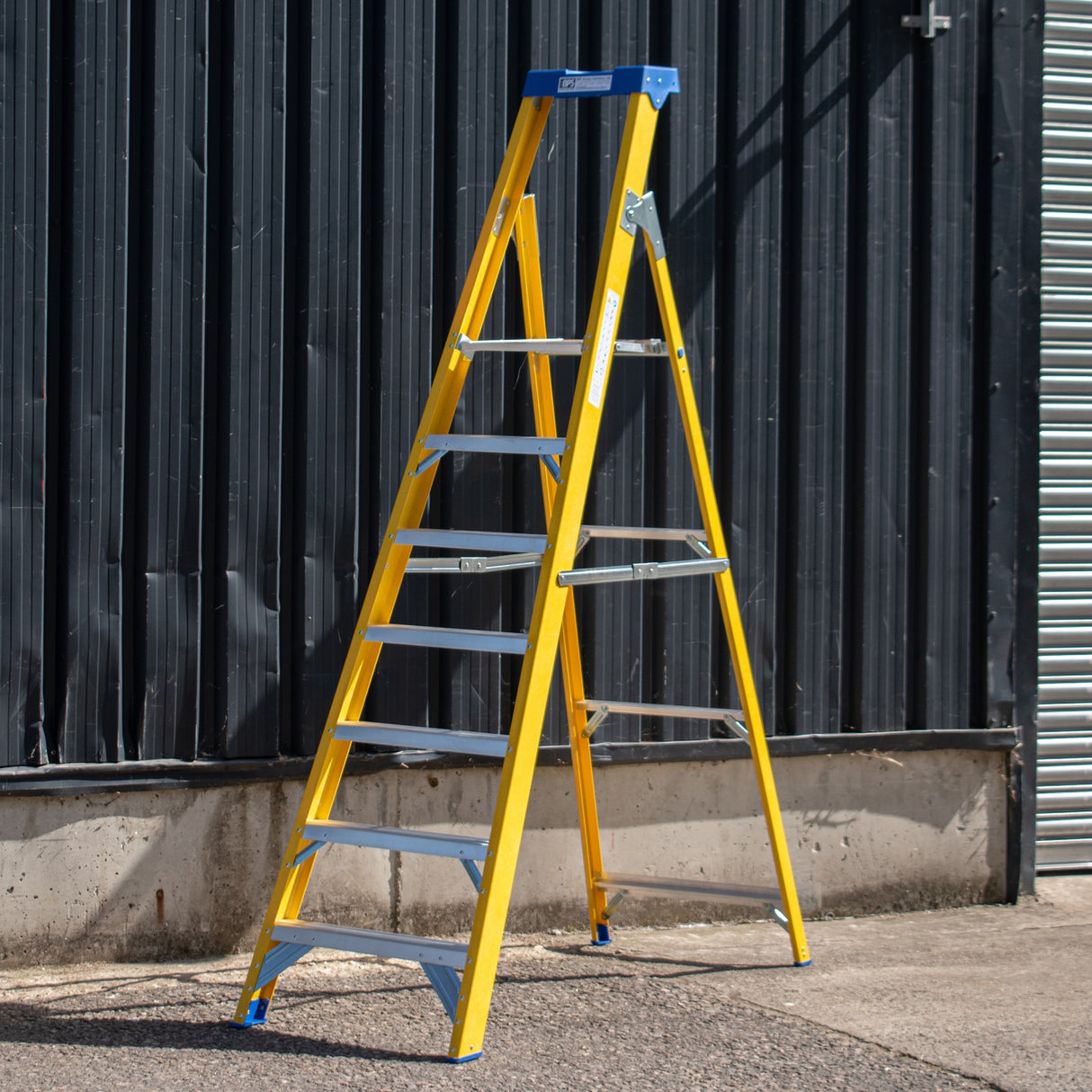 Fibreglass Platform Step Ladder