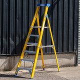 Fibreglass Platform Step Ladder