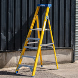 Fibreglass Platform Step Ladder