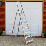 Trade Platform Step Ladders